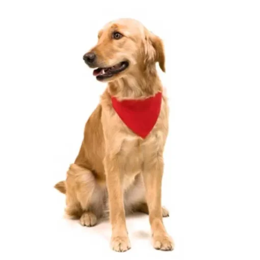 Gift Campaign Bandane per cani personalizzate in poliestere resistente e morbido Colors> Gadget Per Animali
