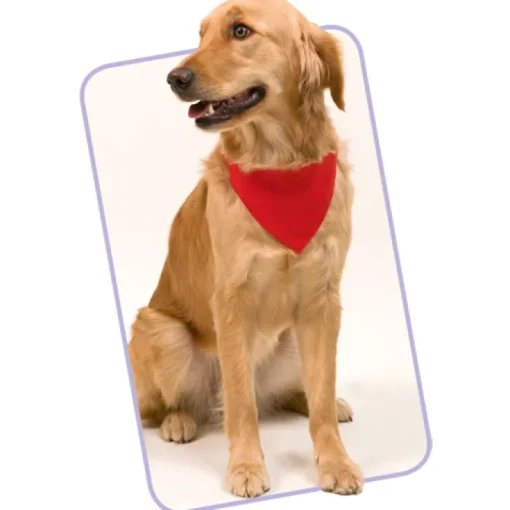 Gift Campaign Bandane per cani personalizzate in poliestere resistente e morbido Colors> Gadget Per Animali