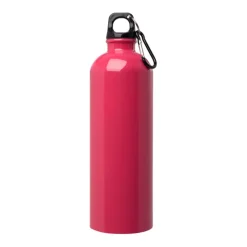 Gift Campaign Borraccia in acciaio inox riciclato con moschettone da 750ml></noscript> Borracce Di Metallo