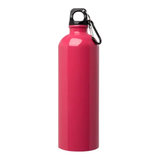 Gift Campaign Borraccia in acciaio inox riciclato con moschettone da 750ml> Borracce Di Metallo