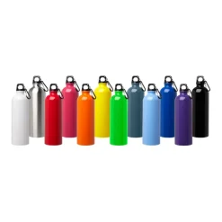 Gift Campaign Borraccia in acciaio inox riciclato con moschettone da 750ml></noscript> Borracce Di Metallo
