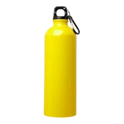 Gift Campaign Borraccia in acciaio inox riciclato con moschettone da 750ml></noscript> Borracce Di Metallo