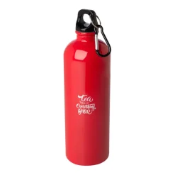 Gift Campaign Borraccia in acciaio inox riciclato con moschettone da 750ml></noscript> Borracce Di Metallo