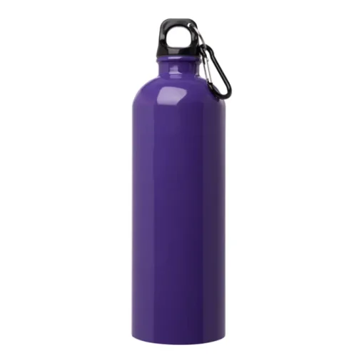 Gift Campaign Borraccia in acciaio inox riciclato con moschettone da 750ml> Borracce Di Metallo