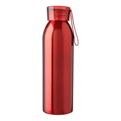 Gift Campaign Borraccia in acciaio inox con tappo e cinturino coordinati 650 ml></noscript> Borracce Di Metallo