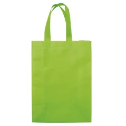 Gift Campaign Borsa in tessuto non tessuto laminato opaco da 105g/m2 con manici 48cm></noscript> Shopper Tnt