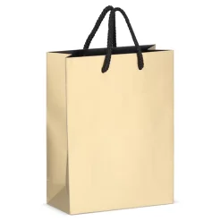 Gift Campaign Borsa regalo in carta con manici e interno nero 18x8x24 cm></noscript> Buste Di Carta