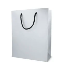 Gift Campaign Borsa regalo in carta con manici e interno nero 24x10x30 cm></noscript> Buste Di Carta