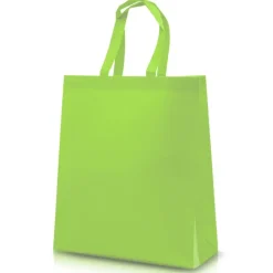 Gift Campaign Borsa resistente in tessuto non tessuto laminato opaco da 110g/m2></noscript> Borse Per La Spesa|Shopper Tnt