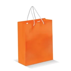 Gift Campaign Busta di carta laminata da 200g/m2 colorata con manici in corda><noscript><img width=