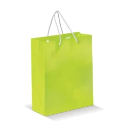 Gift Campaign Busta di carta laminata da 200g/m2 colorata con manici in corda><noscript><img width=