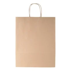 Gift Campaign Busta in carta kraft FSC da 120g/m2 di grandi dimensioni per negozi> Buste Di Carta