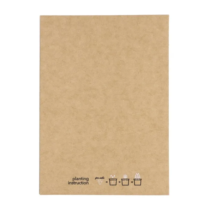 Gift Campaign Cartolina natalizia con decorazione a forma di pallina e semi di pino> Gadget Natalizi