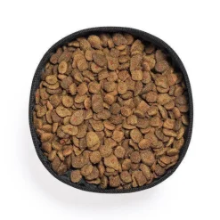 Gift Campaign Ciotola pieghevole in carta riciclata laminata per animali da 1,3l></noscript> Gadget Per Animali