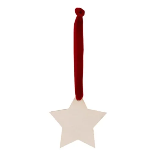 Gift Campaign Decorazione a forma di stella da appendere con nastro in velluto> Gadget Natalizi