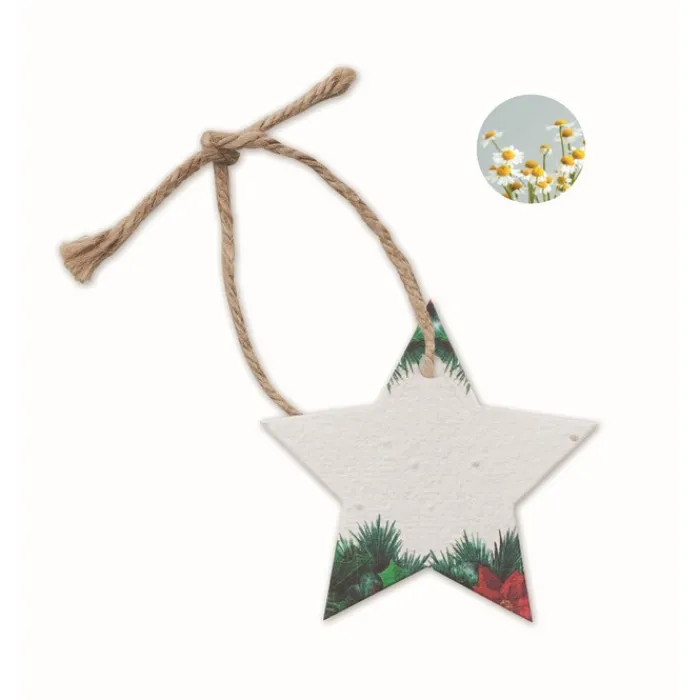 Gift Campaign Decorazione natalizia a forma di stella in carta con semi SeedGrow> Gadget Natalizi