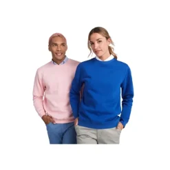 Gift Campaign Felpa unisex in cotone organico e poliestere riciclato 300 g/m2 Roly><noscript><img width=