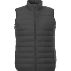 Gift Campaign Gilet termico da donna in nylon 38g/m2 e poliestere Elevate Essentials></noscript> Smanicati