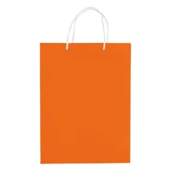 Gift Campaign Grande busta di carta laminata da 200g/m2 colorata con manici in corda></noscript> Buste Di Carta