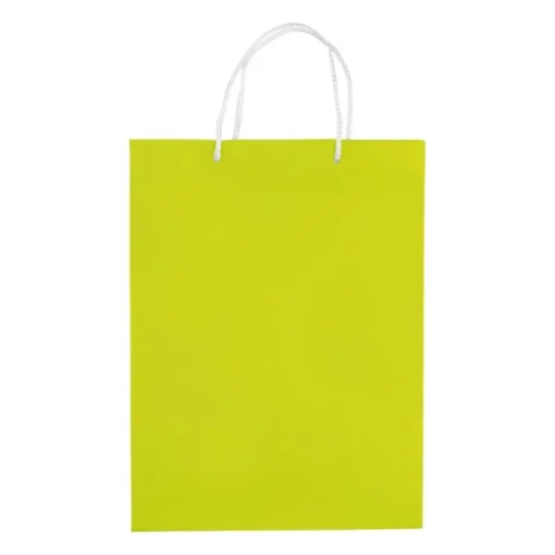 Gift Campaign Grande busta di carta laminata da 200g/m2 colorata con manici in corda> Buste Di Carta