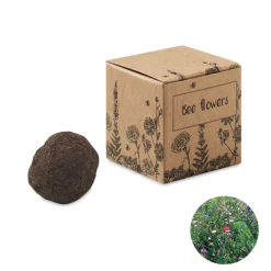 Gift Campaign Kit per la coltivazione di fiori per api in scatola di cartone></noscript> Vasetti Con Semi