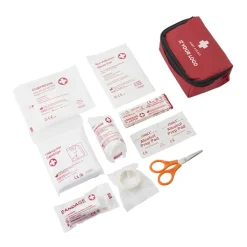 Gift Campaign Kit pronto soccorso in custodia bende, forbici, tamponi Crisis></noscript> Gadget Per Auto|Gadget Per L'Ufficio