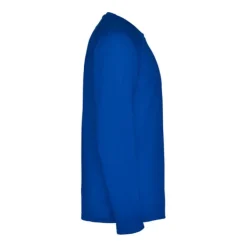 Gift Campaign Maglia sportiva da uomo a maniche lunghe in poliestere 150 g/m² Roly></noscript> Magliette Tecniche