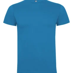 Gift Campaign Maglietta da uomo a maniche corte in cotone da 165 g/m² Roly></noscript> Magliette Personalizzate