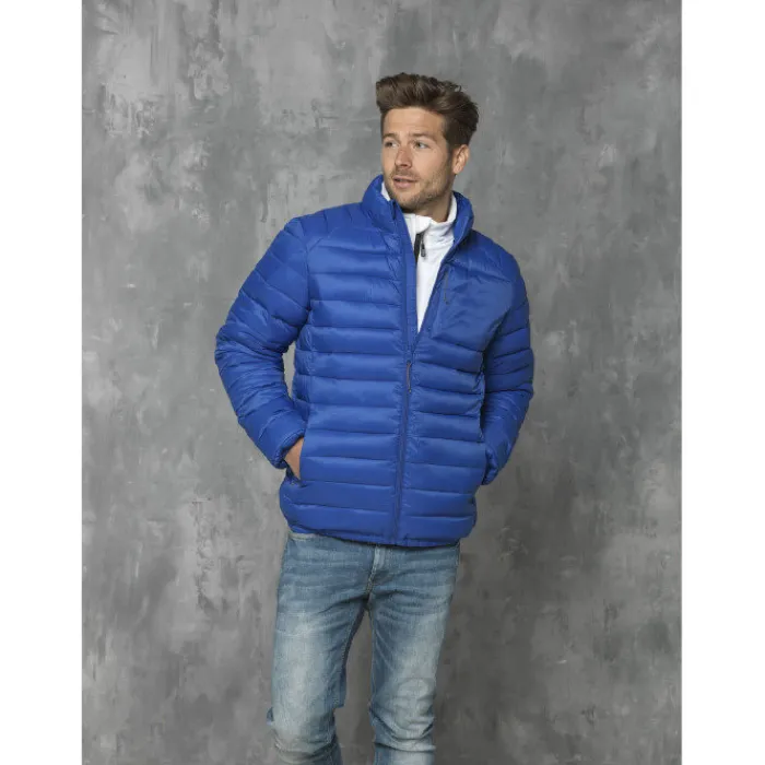 Gift Campaign Piumino termico elasticizzato in 380T woven cerato Elevate Essentials> Giubbotti