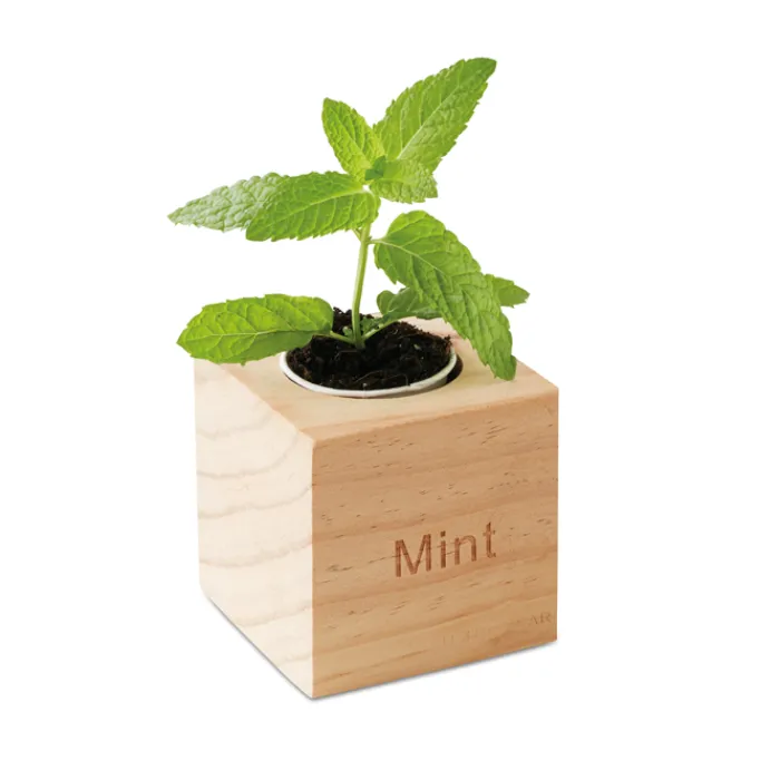 Gift Campaign Porta vaso in con logo con vasetto e semi di menta EcoMint> Vasetti Con Semi
