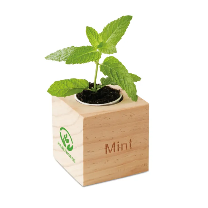 Gift Campaign Porta vaso in con logo con vasetto e semi di menta EcoMint> Vasetti Con Semi