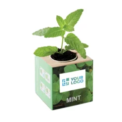 Gift Campaign Porta vaso in con logo con vasetto e semi di menta EcoMint></noscript> Vasetti Con Semi