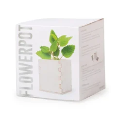 Gift Campaign Porta vaso in legno con vasetto biodegradabile e semi di menta Box></noscript> Vasetti Con Semi