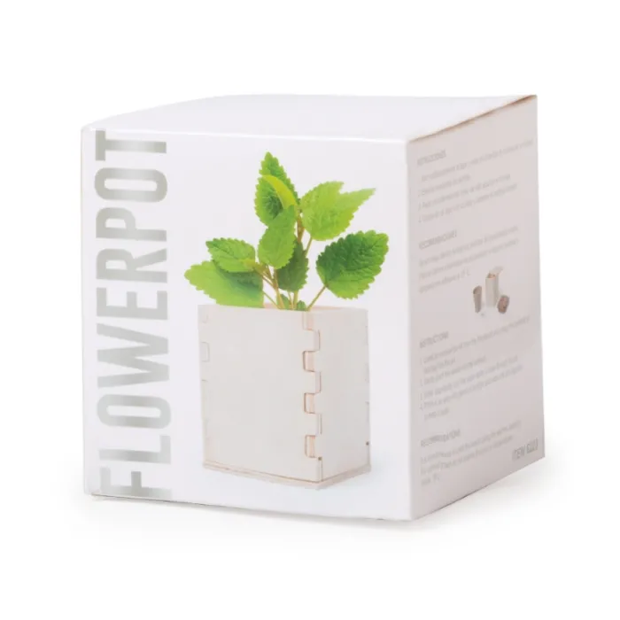 Gift Campaign Porta vaso in legno con vasetto biodegradabile e semi di menta Box> Vasetti Con Semi