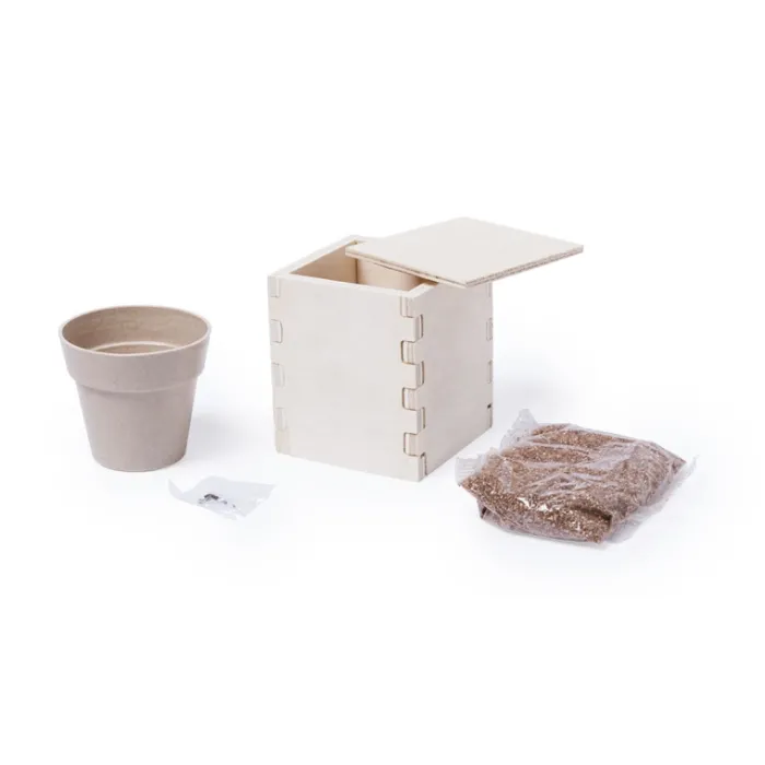 Gift Campaign Porta vaso in legno con vasetto biodegradabile e semi di menta Box> Vasetti Con Semi