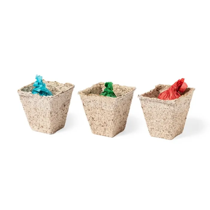 Gift Campaign Porta vaso in lengo con semi di coriandolo, prezzemolo e basilico DIY> Vasetti Con Semi