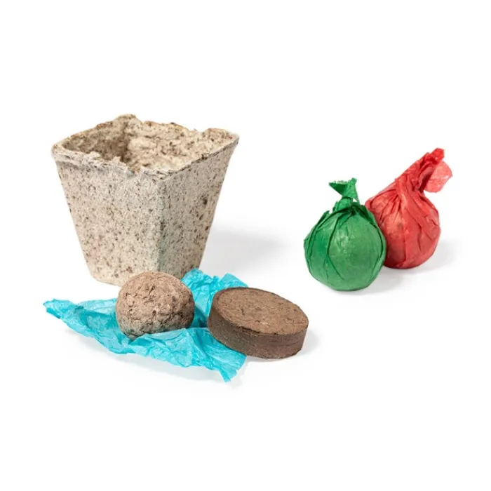 Gift Campaign Porta vaso in lengo con semi di coriandolo, prezzemolo e basilico DIY> Vasetti Con Semi