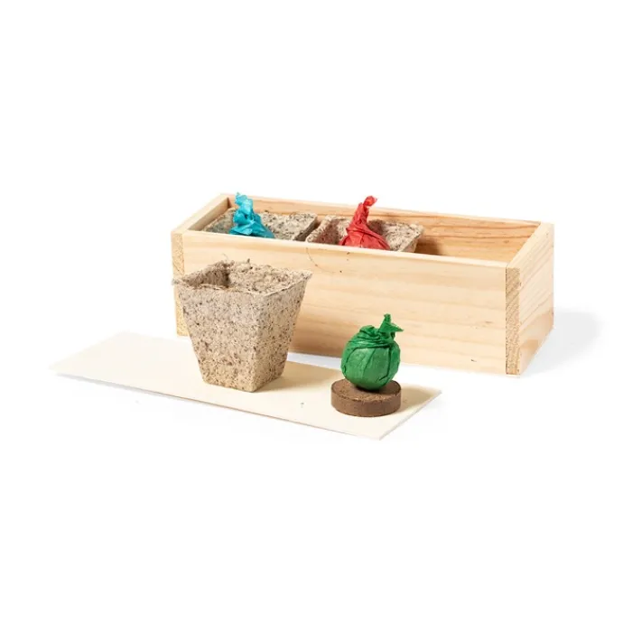 Gift Campaign Porta vaso in lengo con semi di coriandolo, prezzemolo e basilico DIY> Vasetti Con Semi