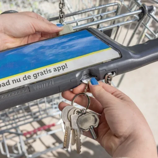Gift Campaign Portachiavi con chiave di sfiato e gettone per carrello in zinco RCS> Portachiavi In Metallo
