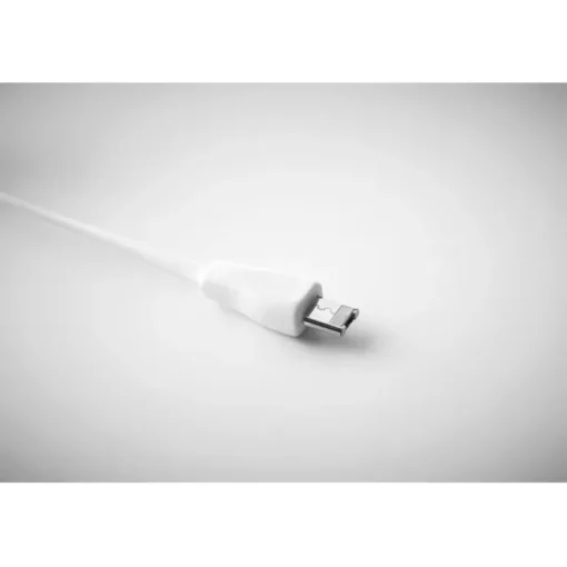 Gift Campaign Portachiavi promozionale naturale cavetti di ricarica USB BambooTech> Portachiavi In Legno