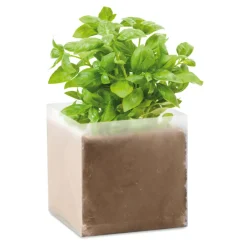 Gift Campaign Semi di basilico e compost da giardino in sacchetti con logo> Vasetti Con Semi
