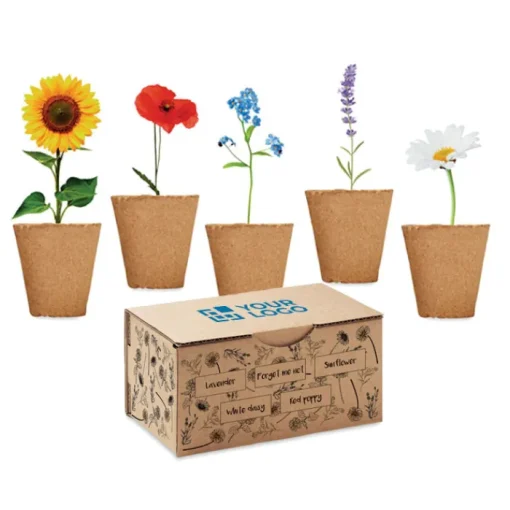 Gift Campaign Set con 5 vasetti personalizzati, terriccio e semi di 5 fiori Flowers Grow> Vasetti Con Semi