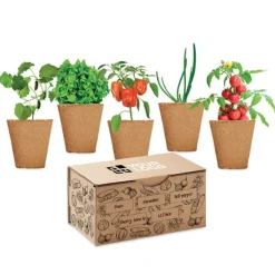 Gift Campaign Set di 5 vasetti, terriccio e semi di 5 ortaggi differenti Veggies Grow></noscript> Vasetti Con Semi