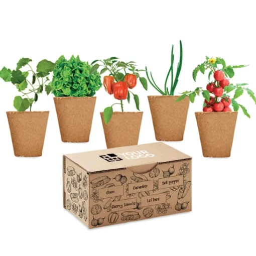 Gift Campaign Set di 5 vasetti, terriccio e semi di 5 ortaggi differenti Veggies Grow> Vasetti Con Semi