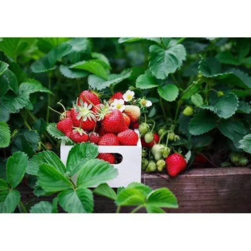 Gift Campaign Taccuini con logo A5 sostenibile pagine a righe riciclate Grow> Taccuini Ecologici