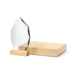 Gift Campaign Trofeo in vetro a forma di ennagono con base in legno da incidere> Medaglie E Trofei|Gadget Per Eventi Sportivi