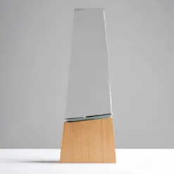 Gift Campaign Trofeo in vetro stilizzato con base in legno per un tocco distintivo></noscript> Medaglie E Trofei