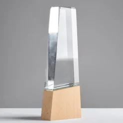 Gift Campaign Trofeo in vetro stilizzato con base in legno per un tocco distintivo></noscript> Medaglie E Trofei