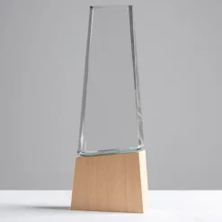 Gift Campaign Trofeo in vetro stilizzato con base in legno per un tocco distintivo></noscript> Medaglie E Trofei