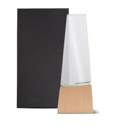 Gift Campaign Trofeo in vetro stilizzato con base in legno per un tocco distintivo></noscript> Medaglie E Trofei